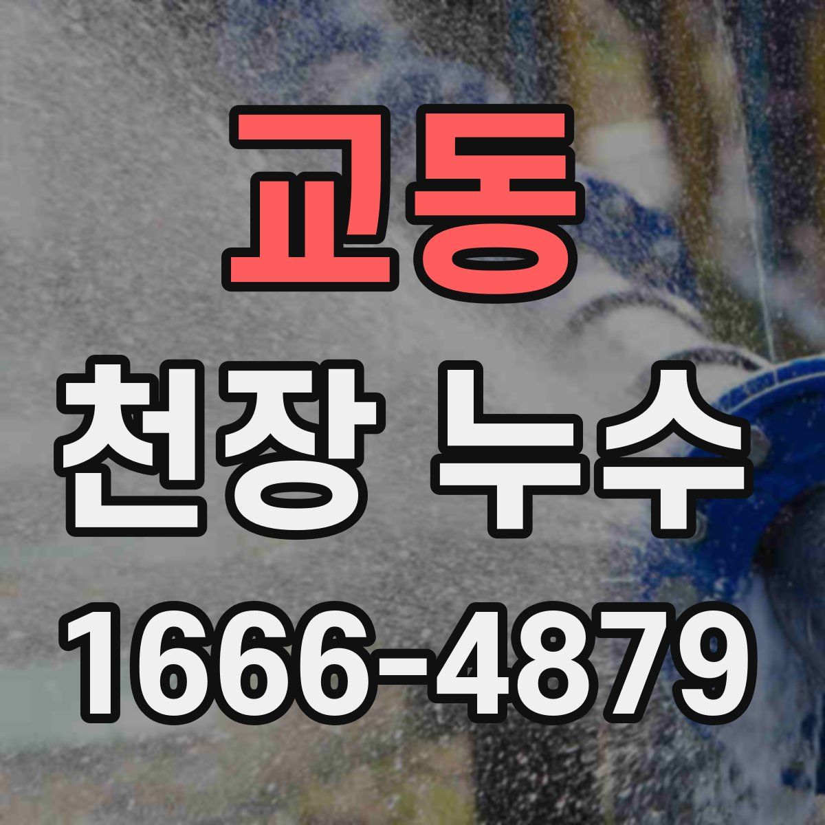 교동 천장 누수