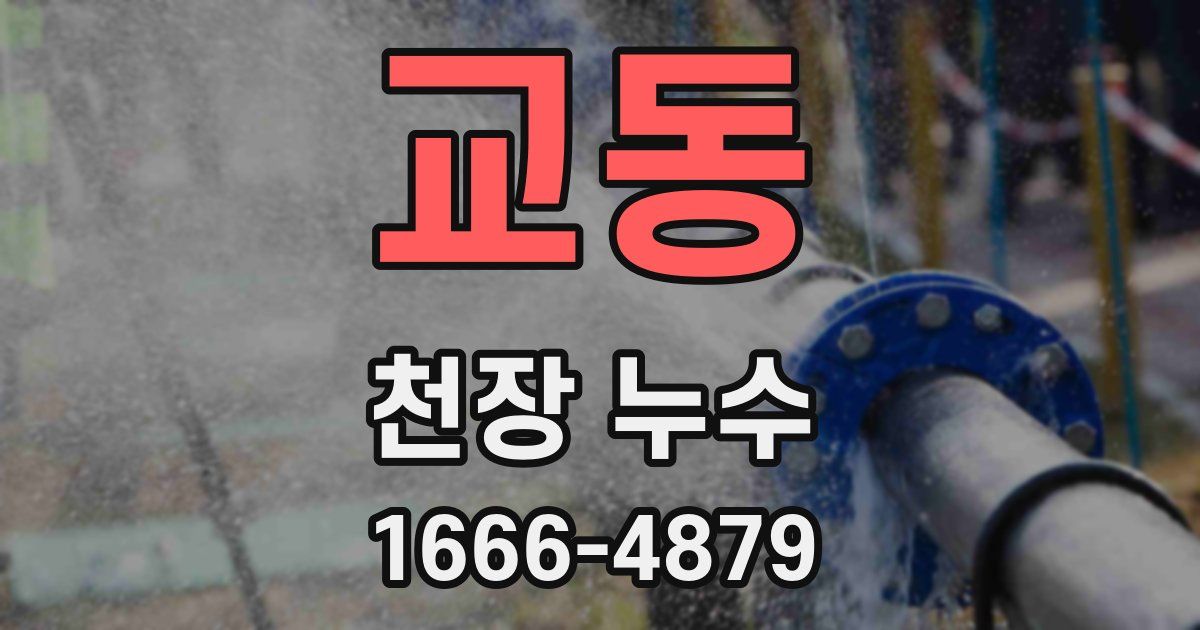 교동 천장 누수