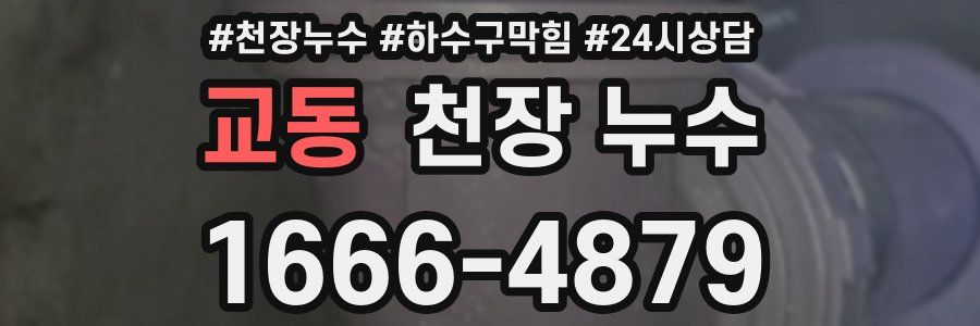 교동 천장 누수