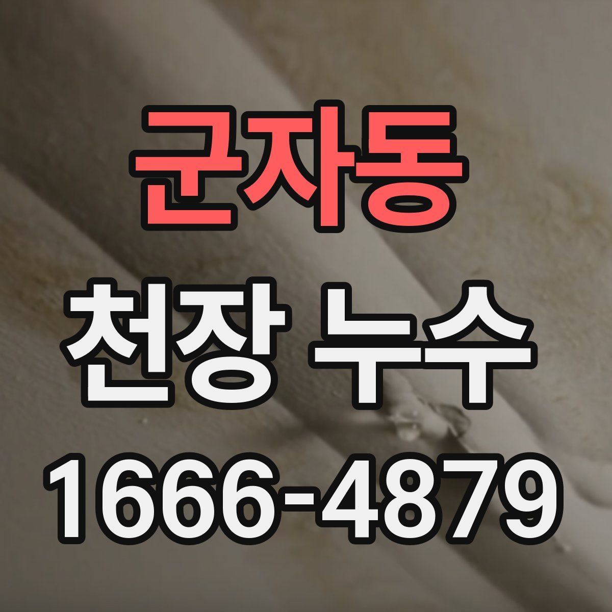 군자동 천장 누수