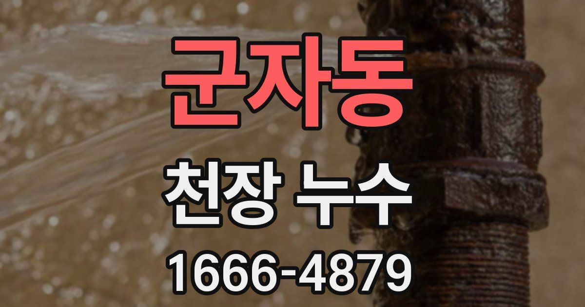 군자동 천장 누수