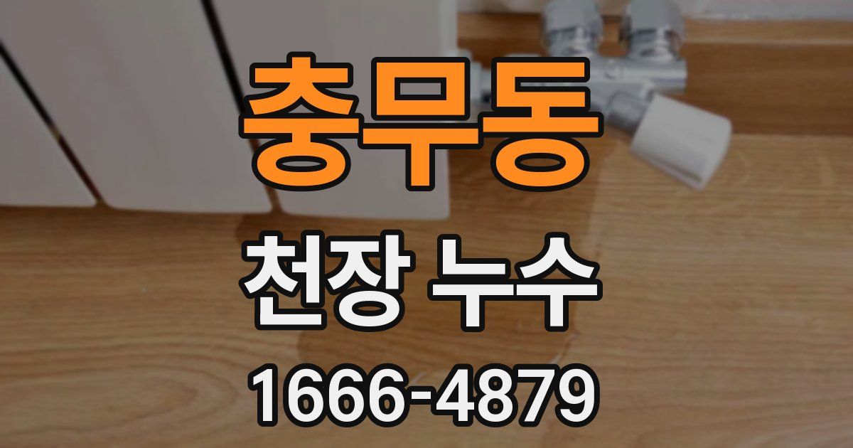 충무동 천장 누수