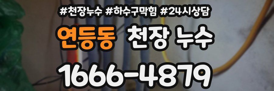 연등동 천장 누수