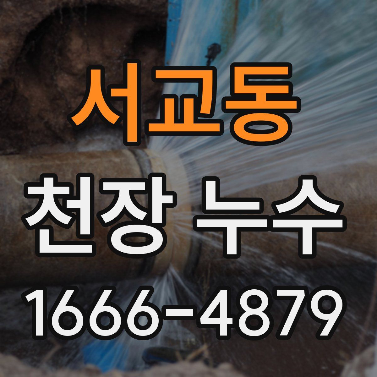 서교동 천장 누수