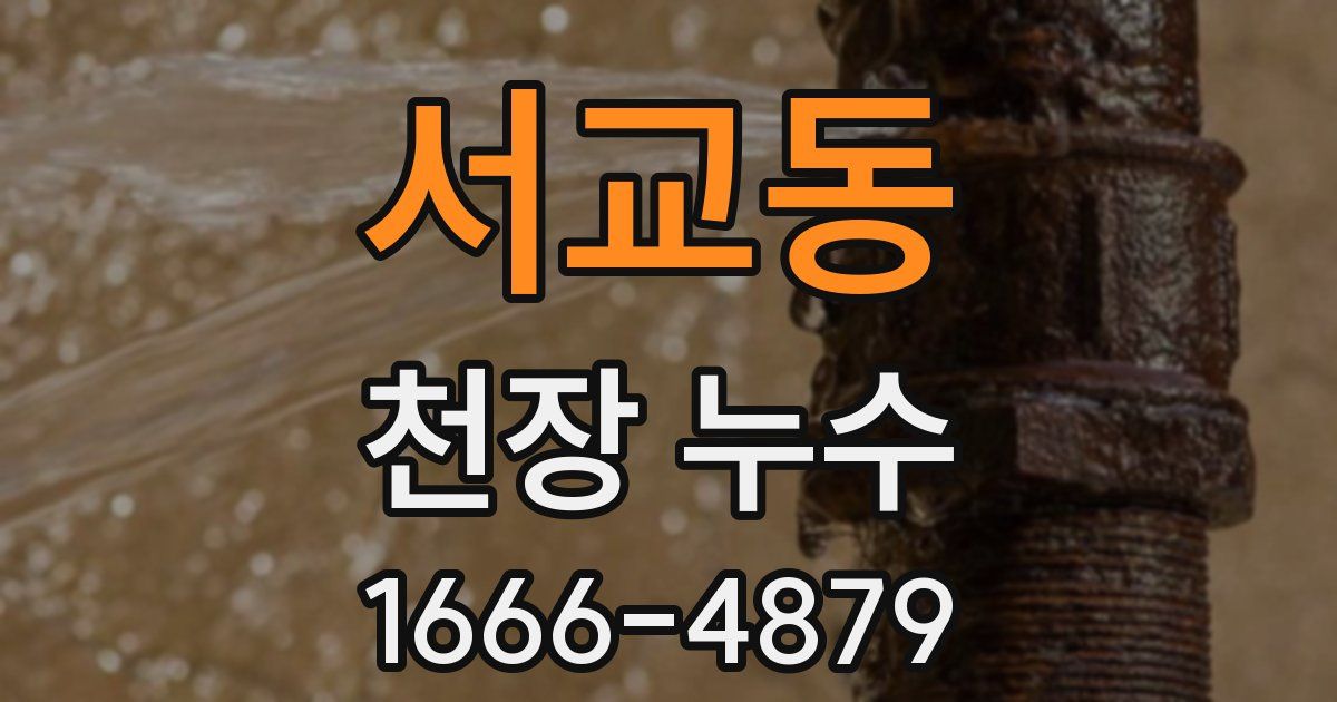 서교동 천장 누수