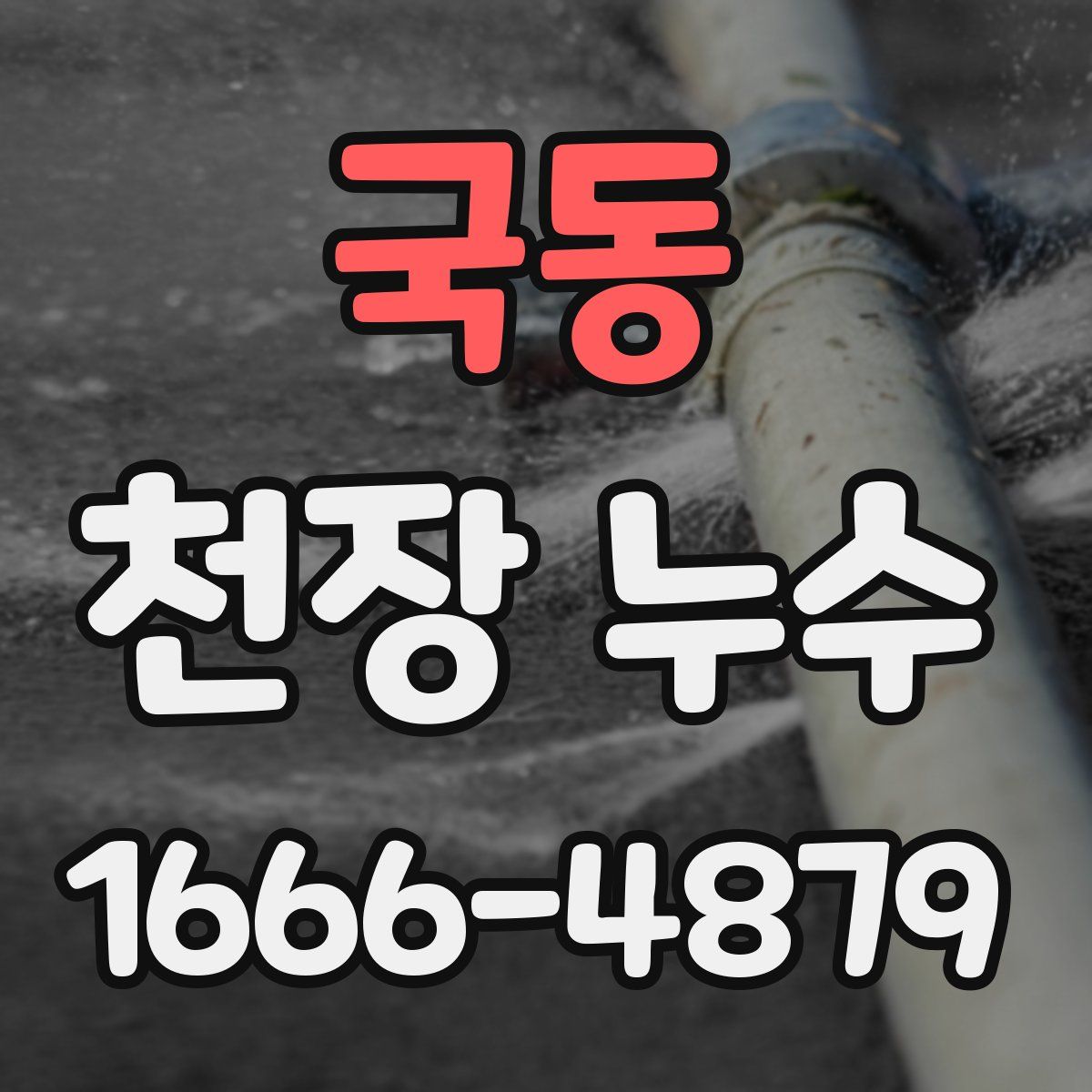 국동 천장 누수