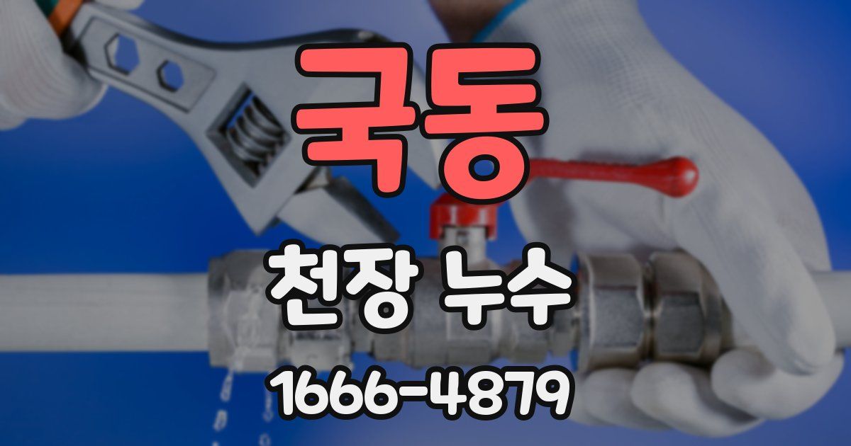 국동 천장 누수