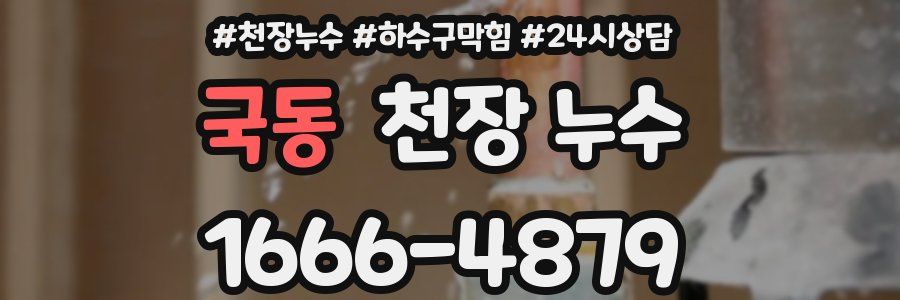 국동 천장 누수