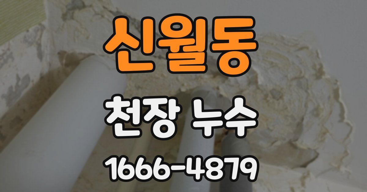 신월동 천장 누수