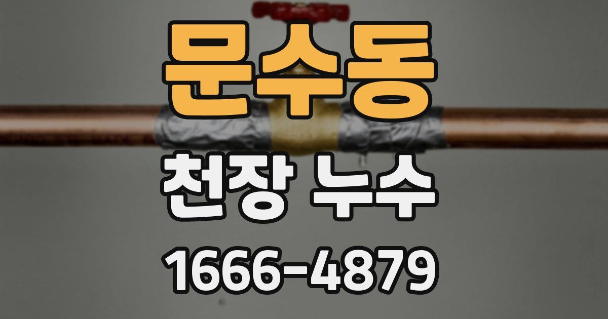 문수동 천장 누수