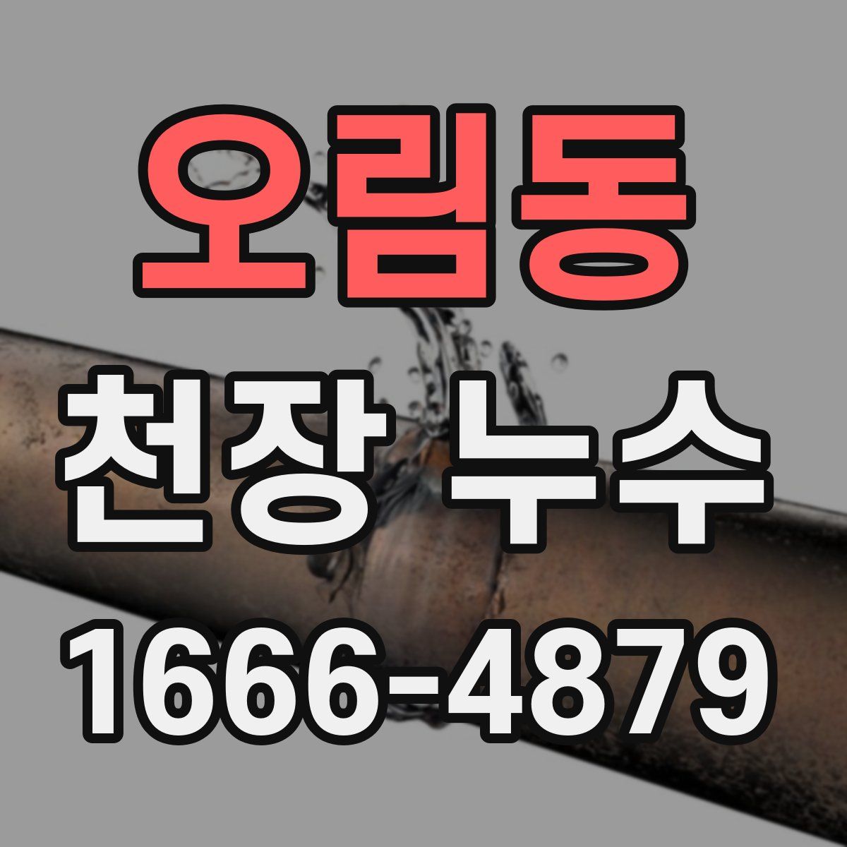 오림동 천장 누수