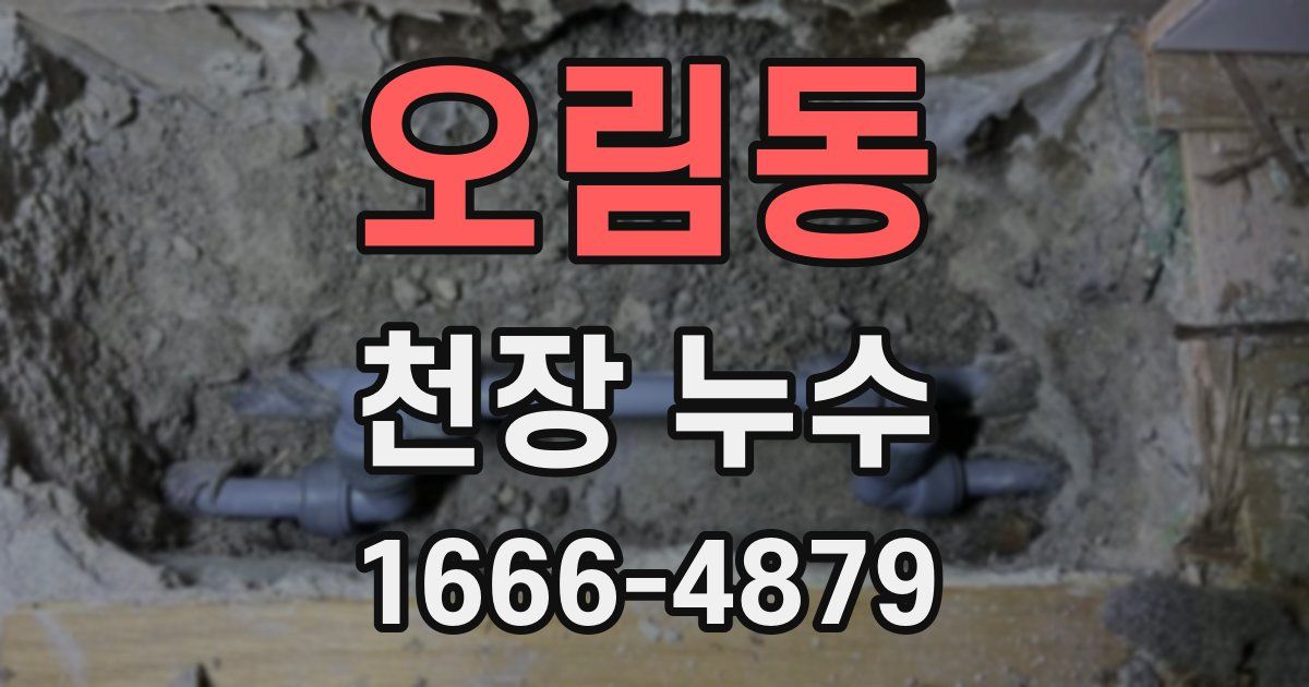 오림동 천장 누수