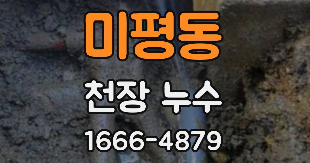 미평동 천장 누수