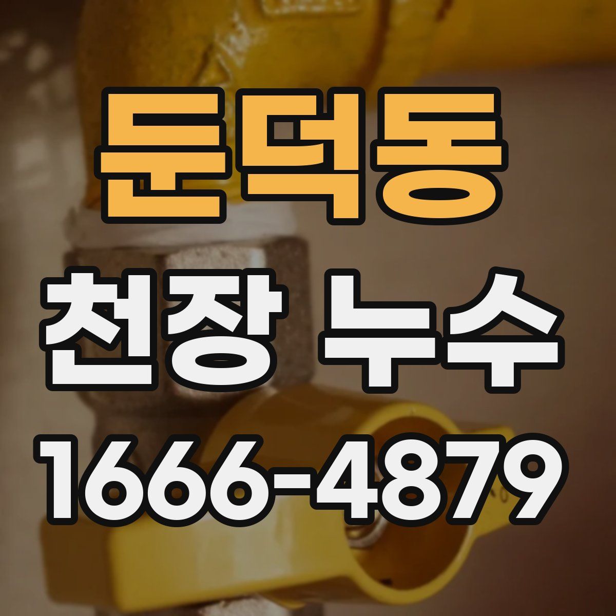 둔덕동 천장 누수