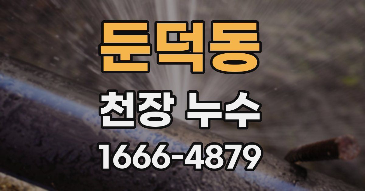 둔덕동 천장 누수