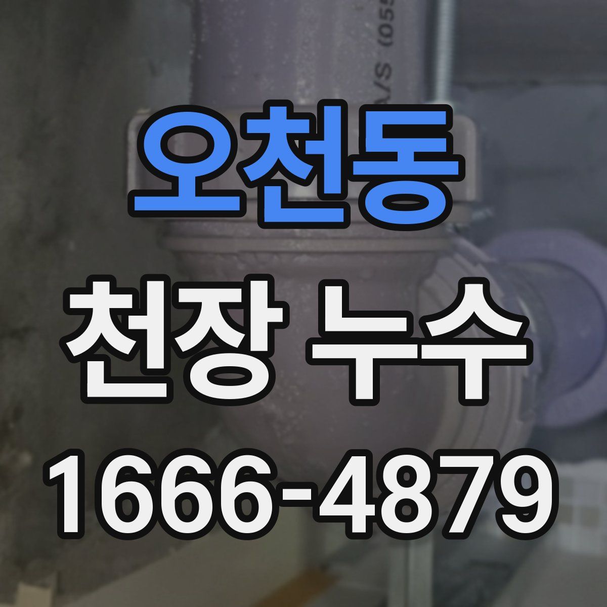 오천동 천장 누수