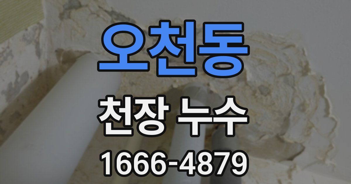 오천동 천장 누수