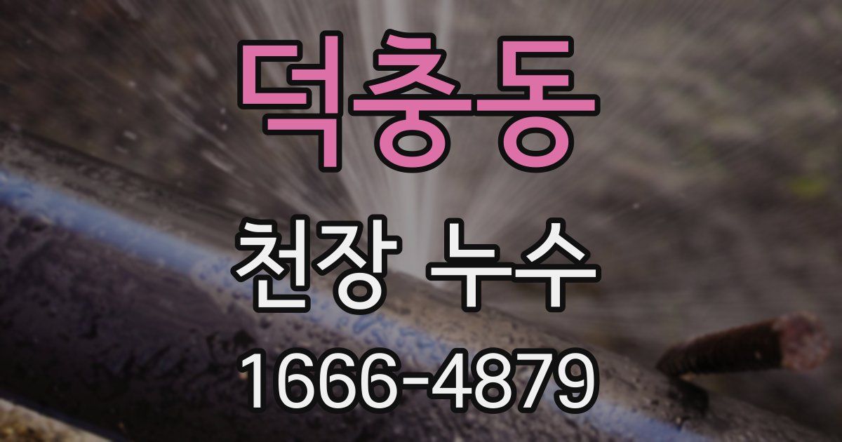 덕충동 천장 누수