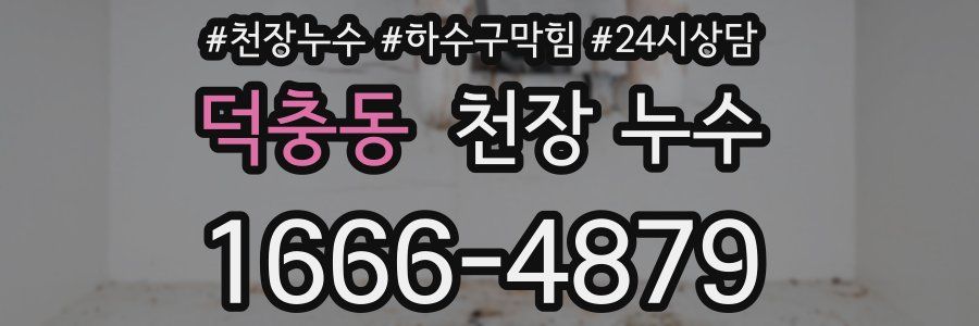 덕충동 천장 누수