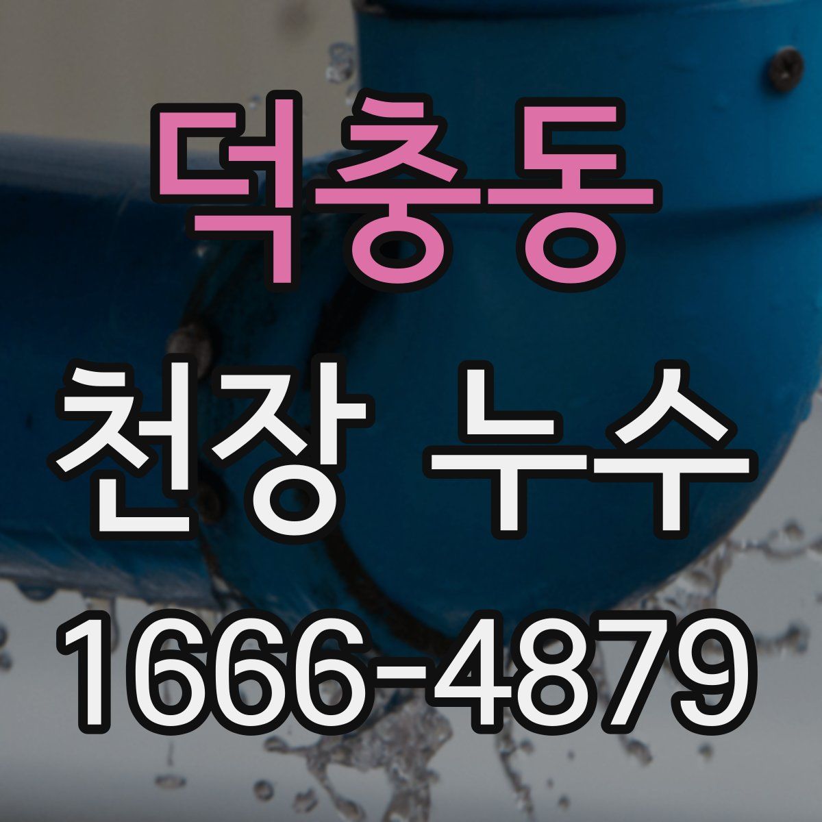 덕충동 천장 누수