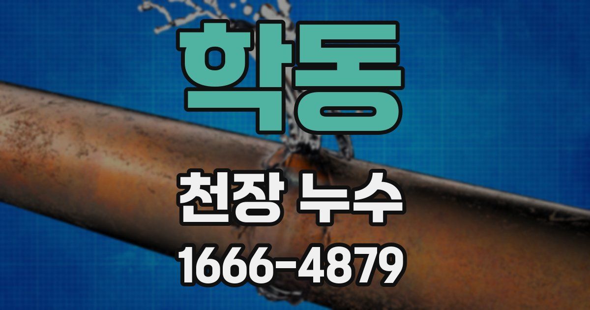 학동 천장 누수