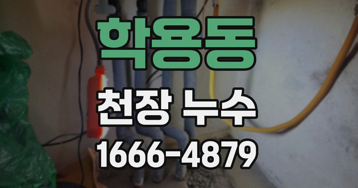 학용동 천장 누수