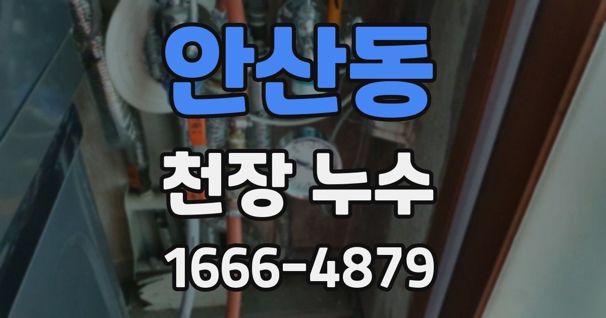 안산동 천장 누수