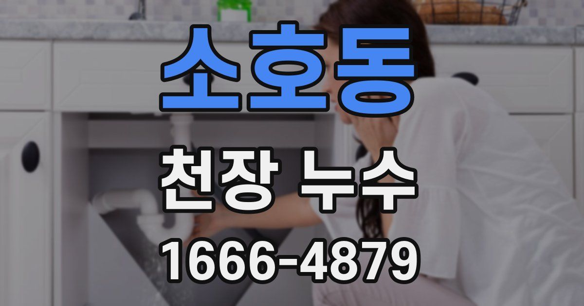 소호동 천장 누수