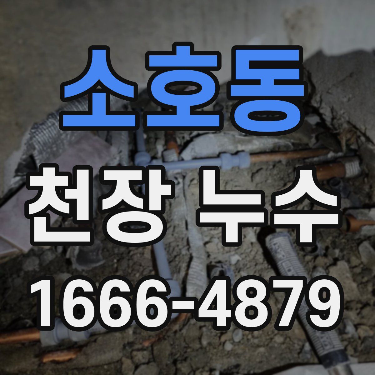 소호동 천장 누수