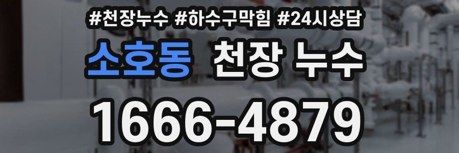 소호동 천장 누수