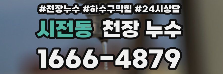 시전동 천장 누수