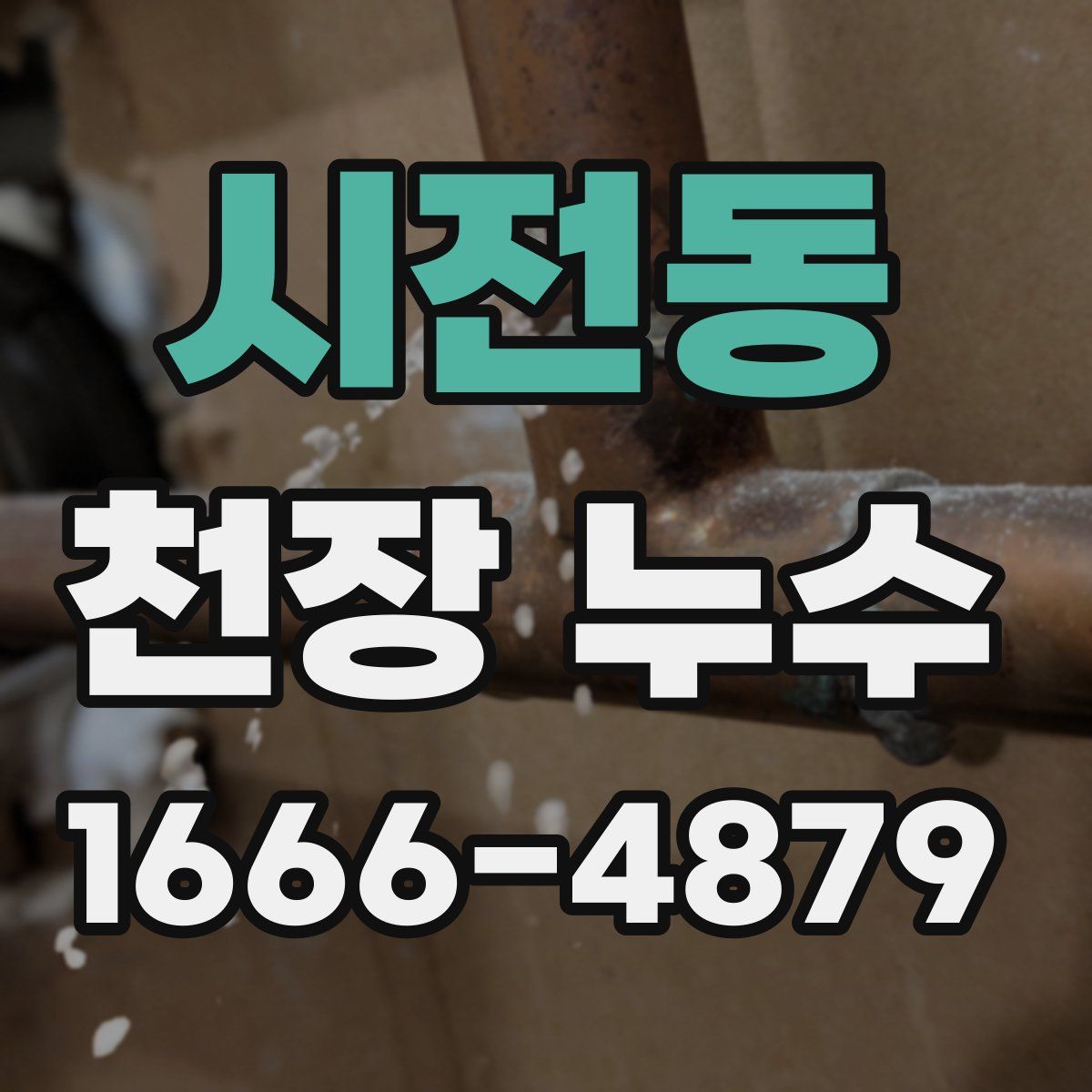 시전동 천장 누수