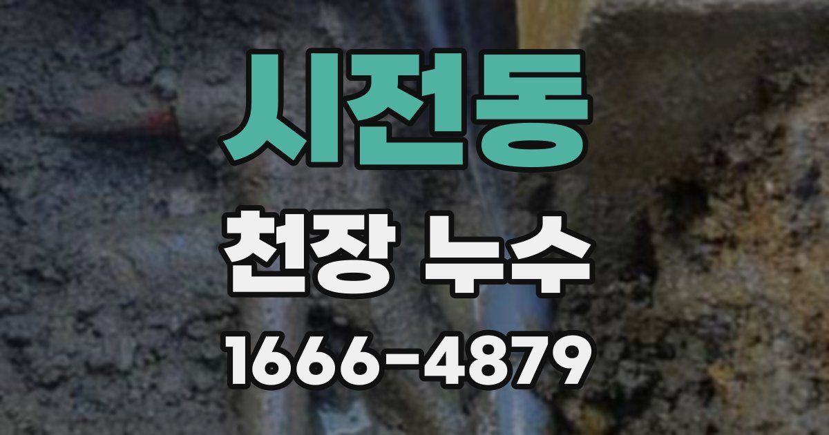 시전동 천장 누수