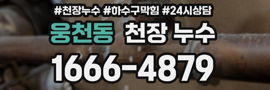 웅천동 천장 누수