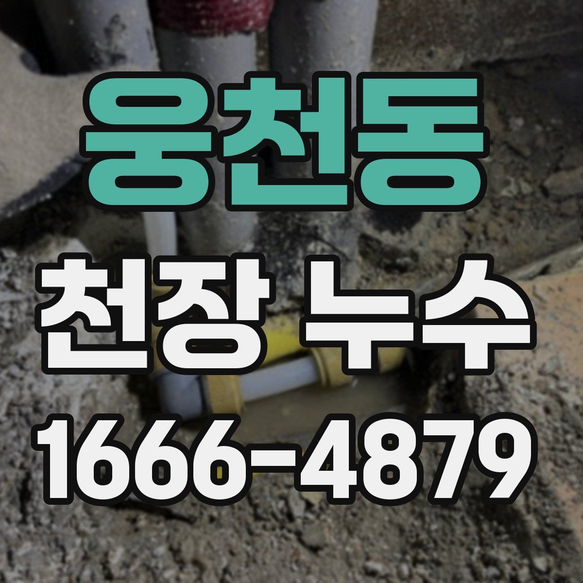 웅천동 천장 누수