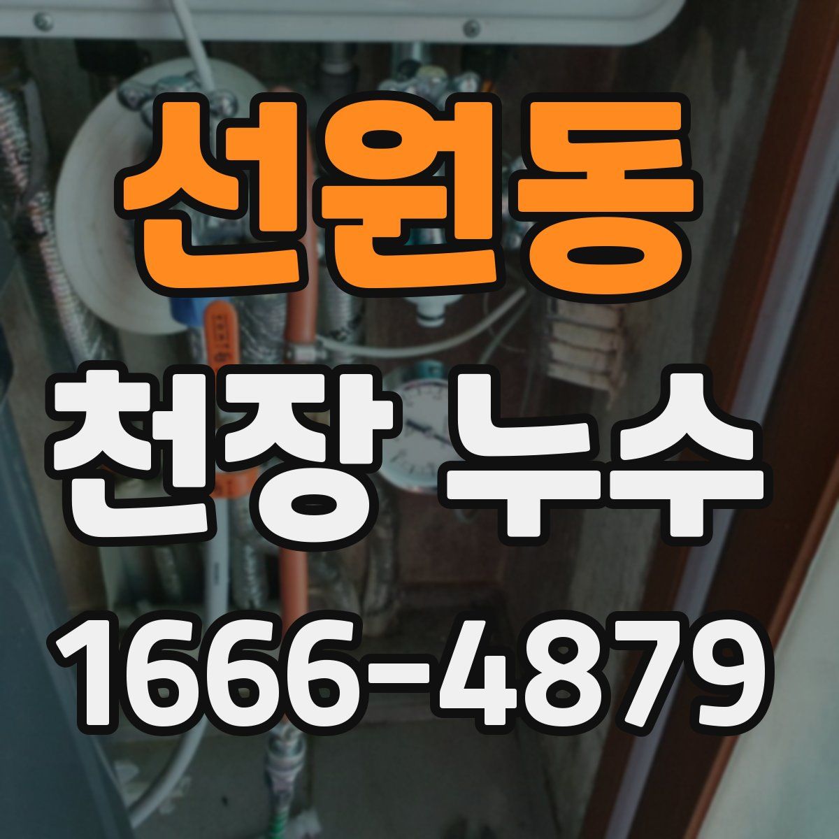 선원동 천장 누수