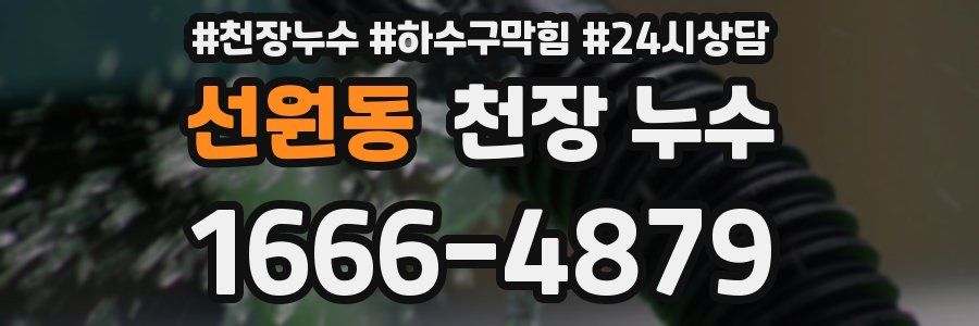 선원동 천장 누수