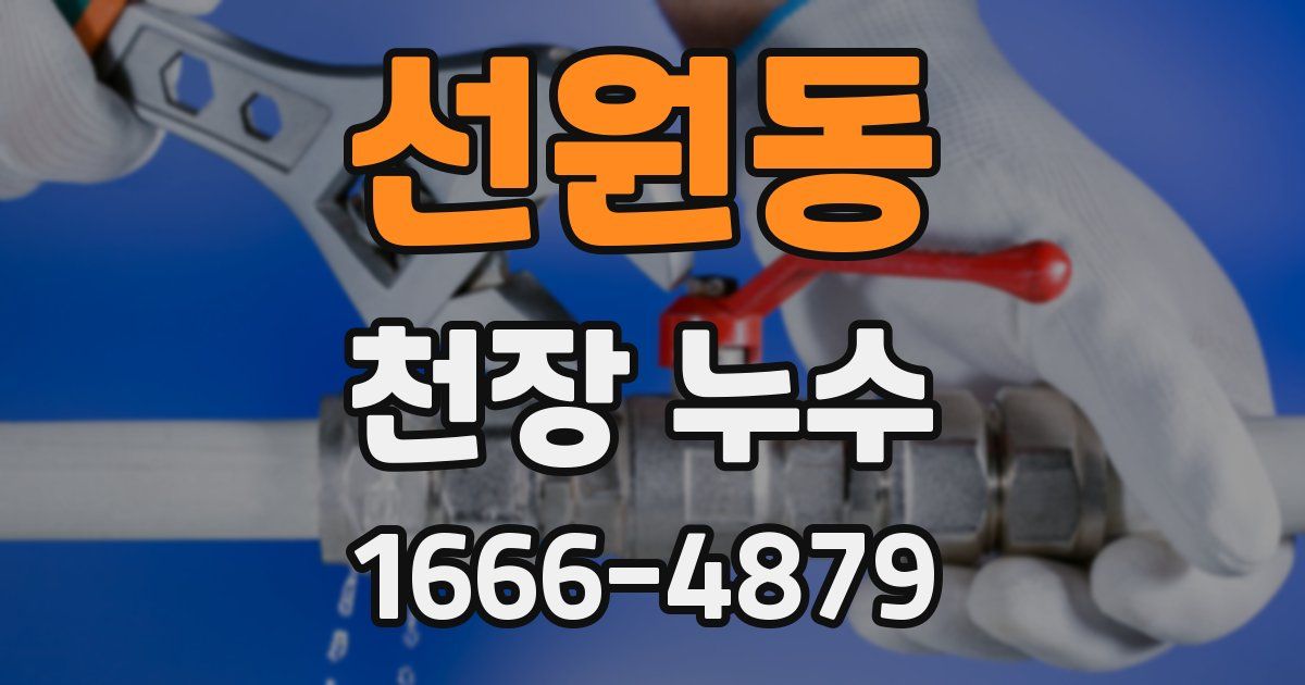 선원동 천장 누수