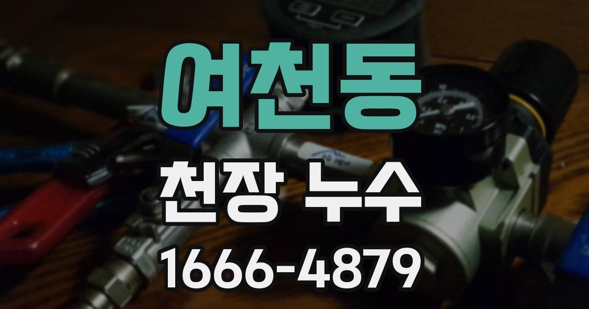 여천동 천장 누수