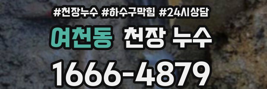 여천동 천장 누수