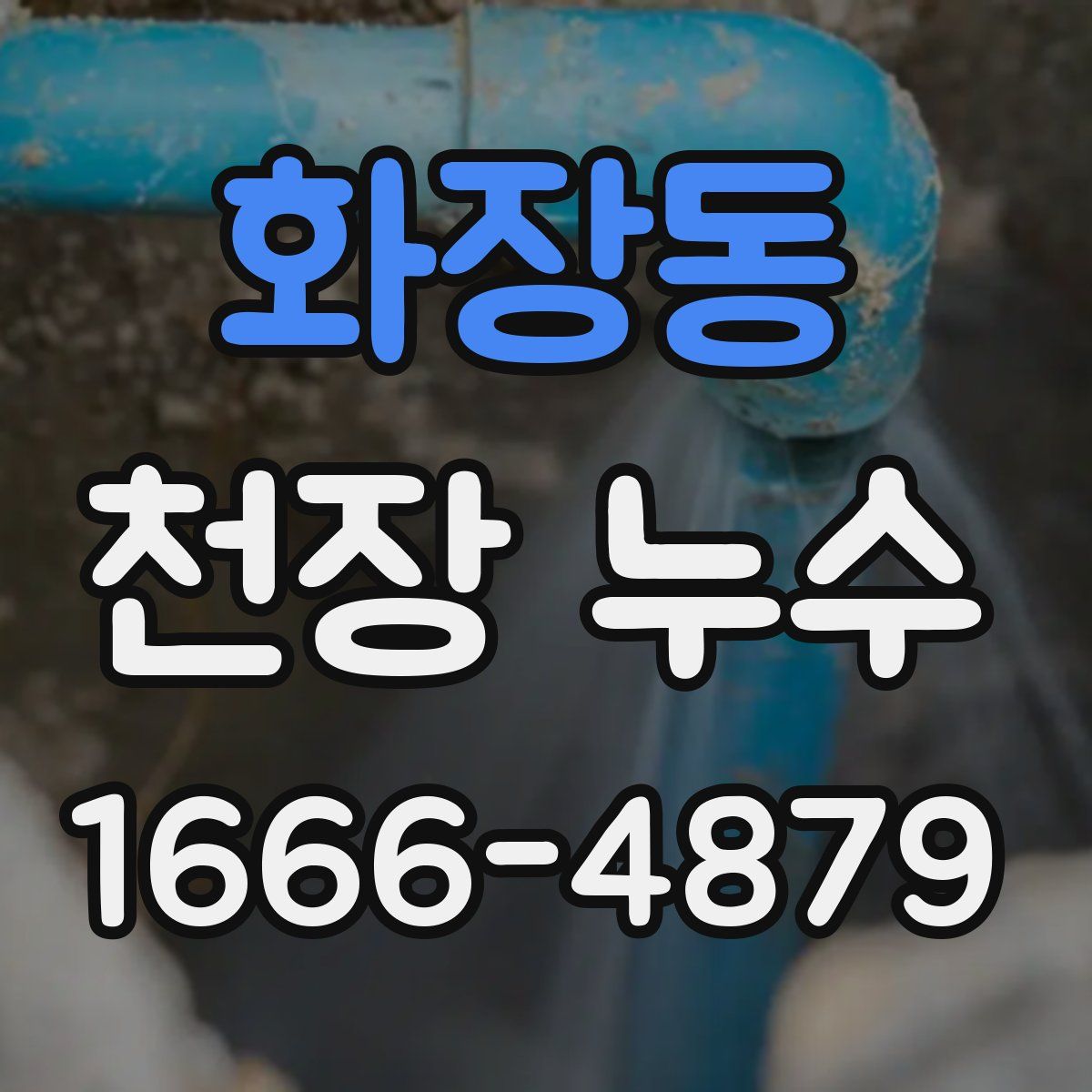 화장동 천장 누수