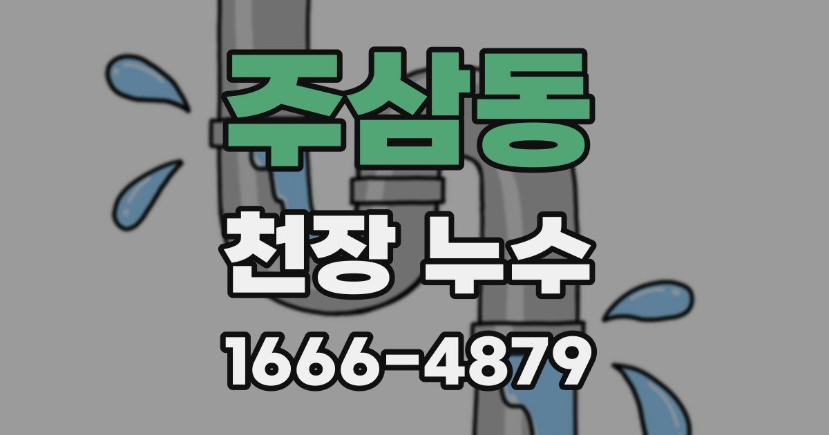 주삼동 천장 누수