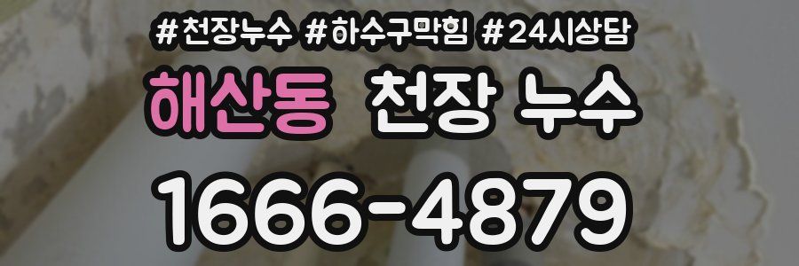 해산동 천장 누수