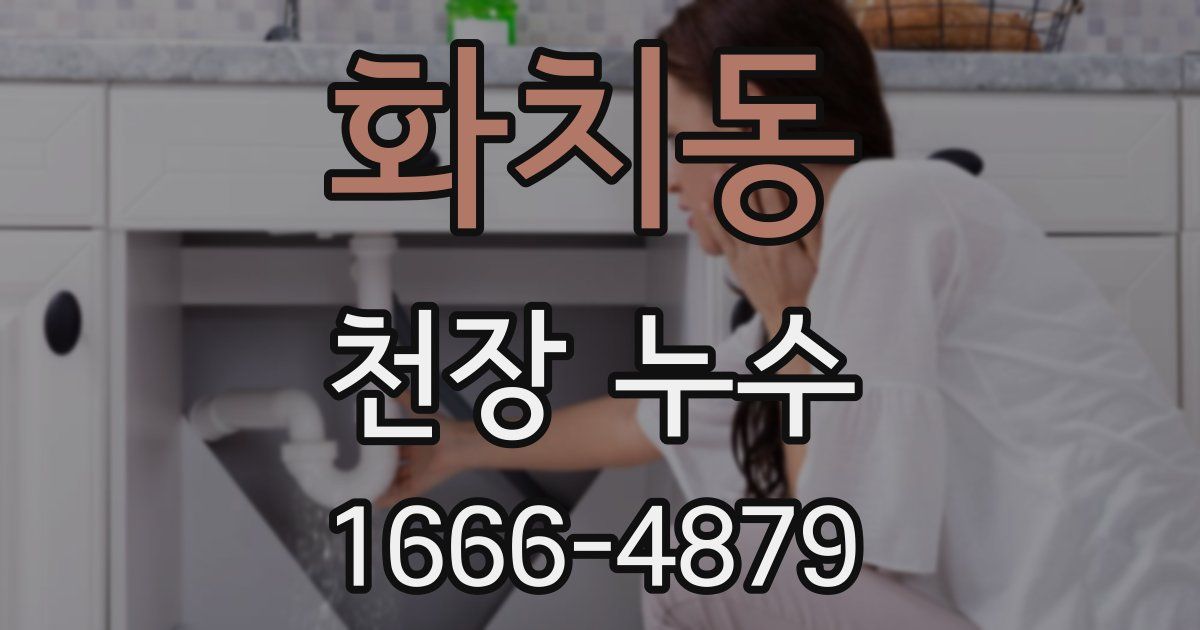 화치동 천장 누수