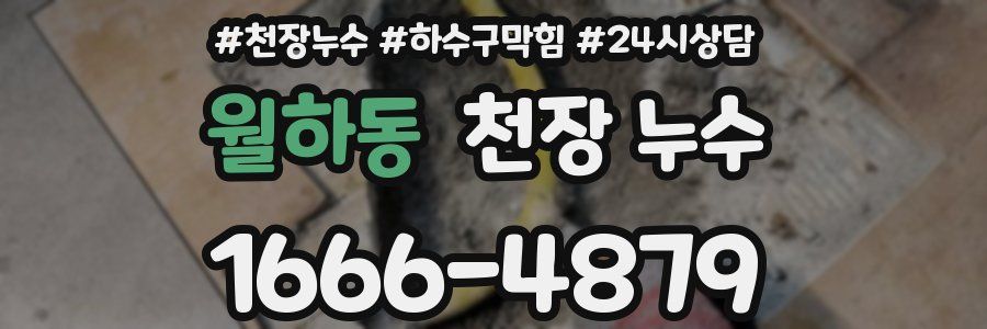 월하동 천장 누수