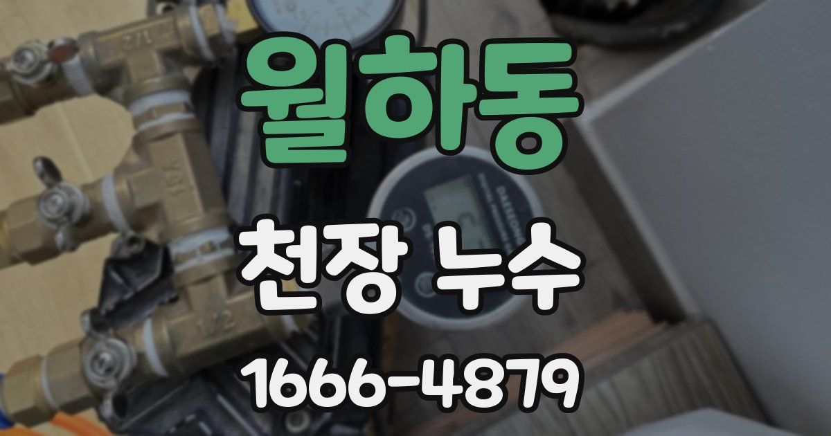 월하동 천장 누수