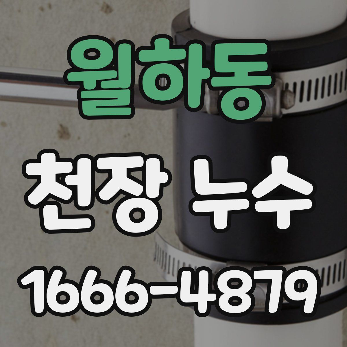 월하동 천장 누수