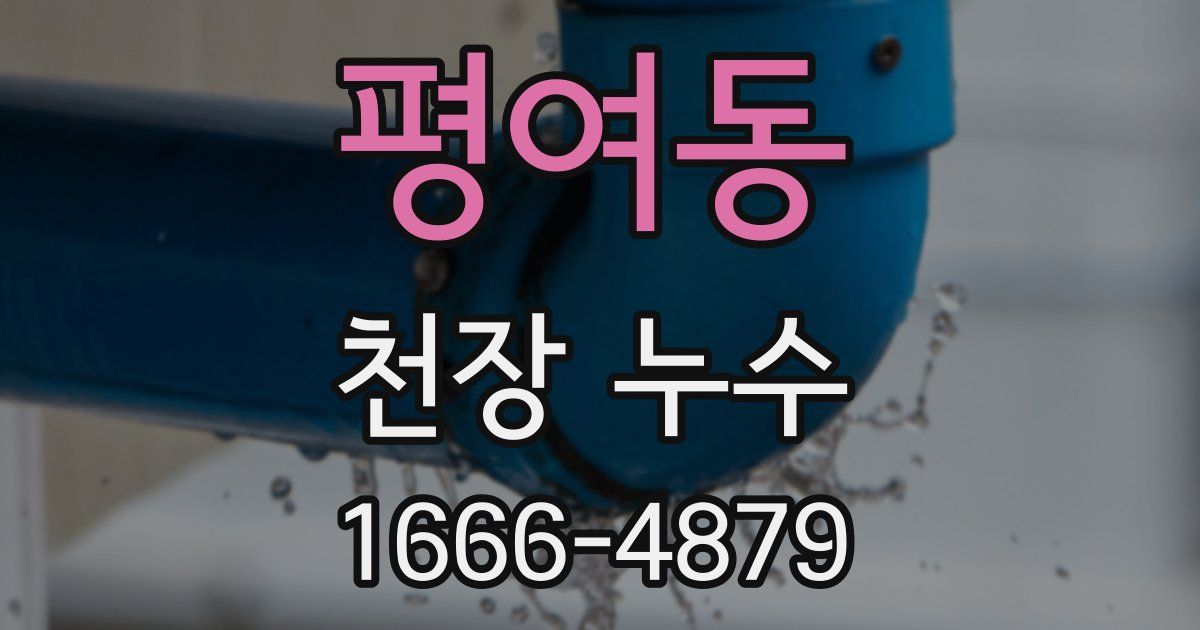 평여동 천장 누수