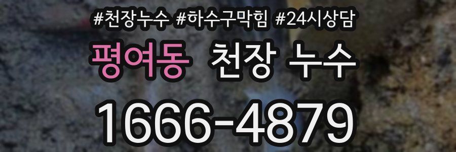 평여동 천장 누수