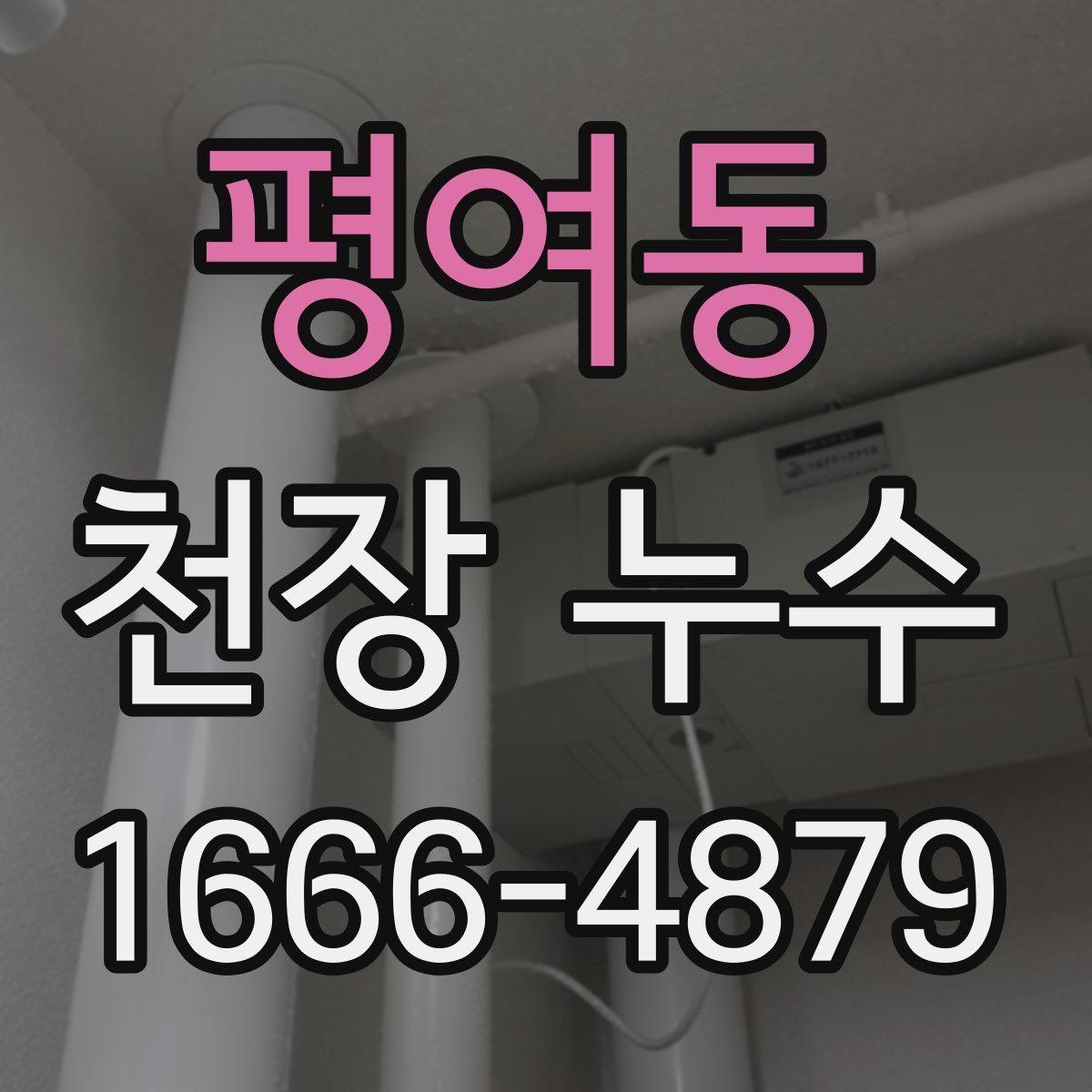 평여동 천장 누수